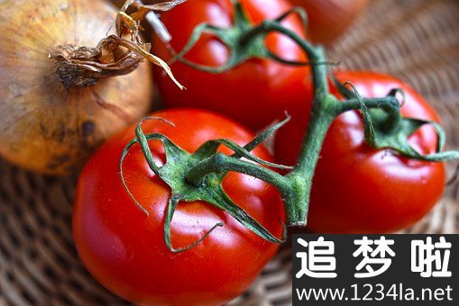 有益菌